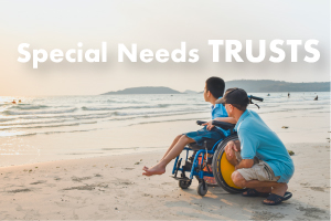 Special Needs Trust Small